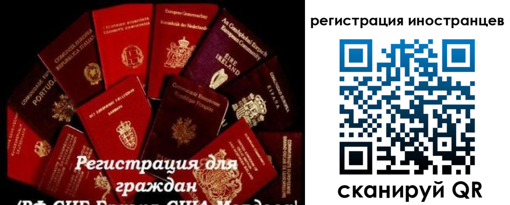 прописка иностранных граждан в Карелии